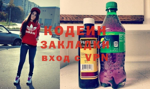 индика Вязьма