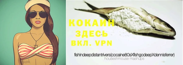индика Вязьма