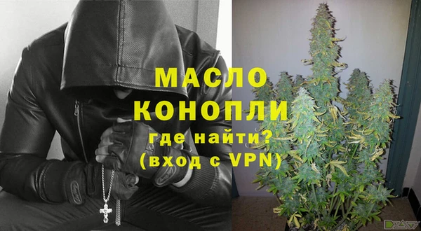 индика Вязьма