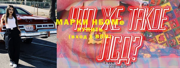 индика Вязьма