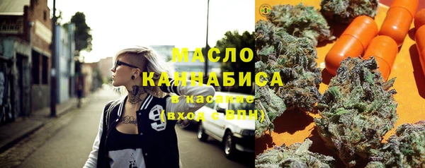 индика Вязьма