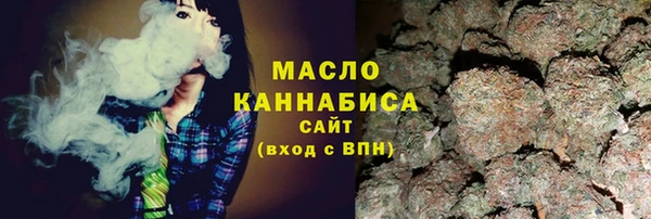 индика Вязьма