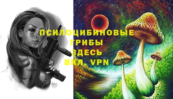 MESCALINE Вязники