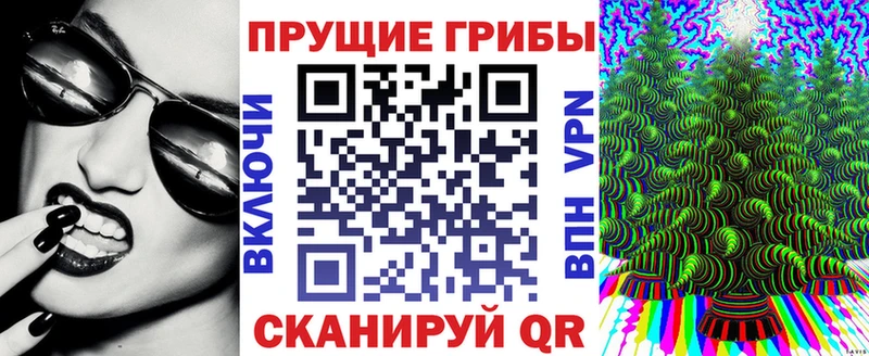 Галлюциногенные грибы Psilocybine cubensis  где купить   Разумное 